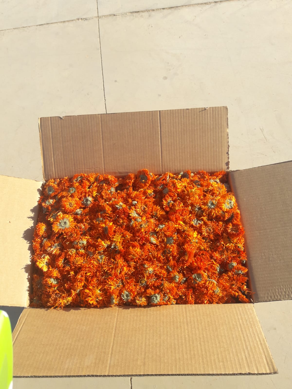 showing our real work